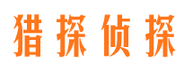 寻乌调查公司